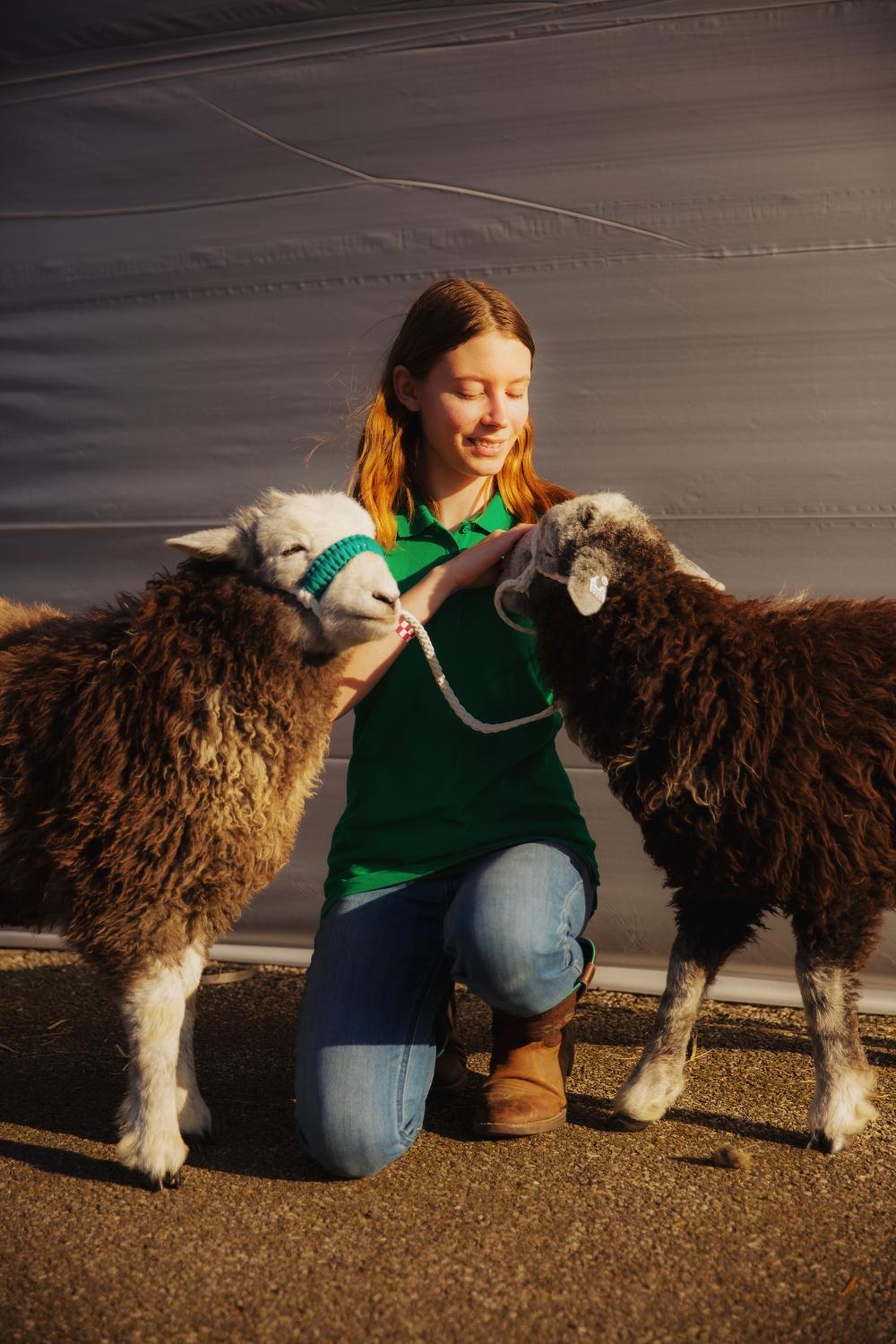 Sheep Wool Festival for NYT