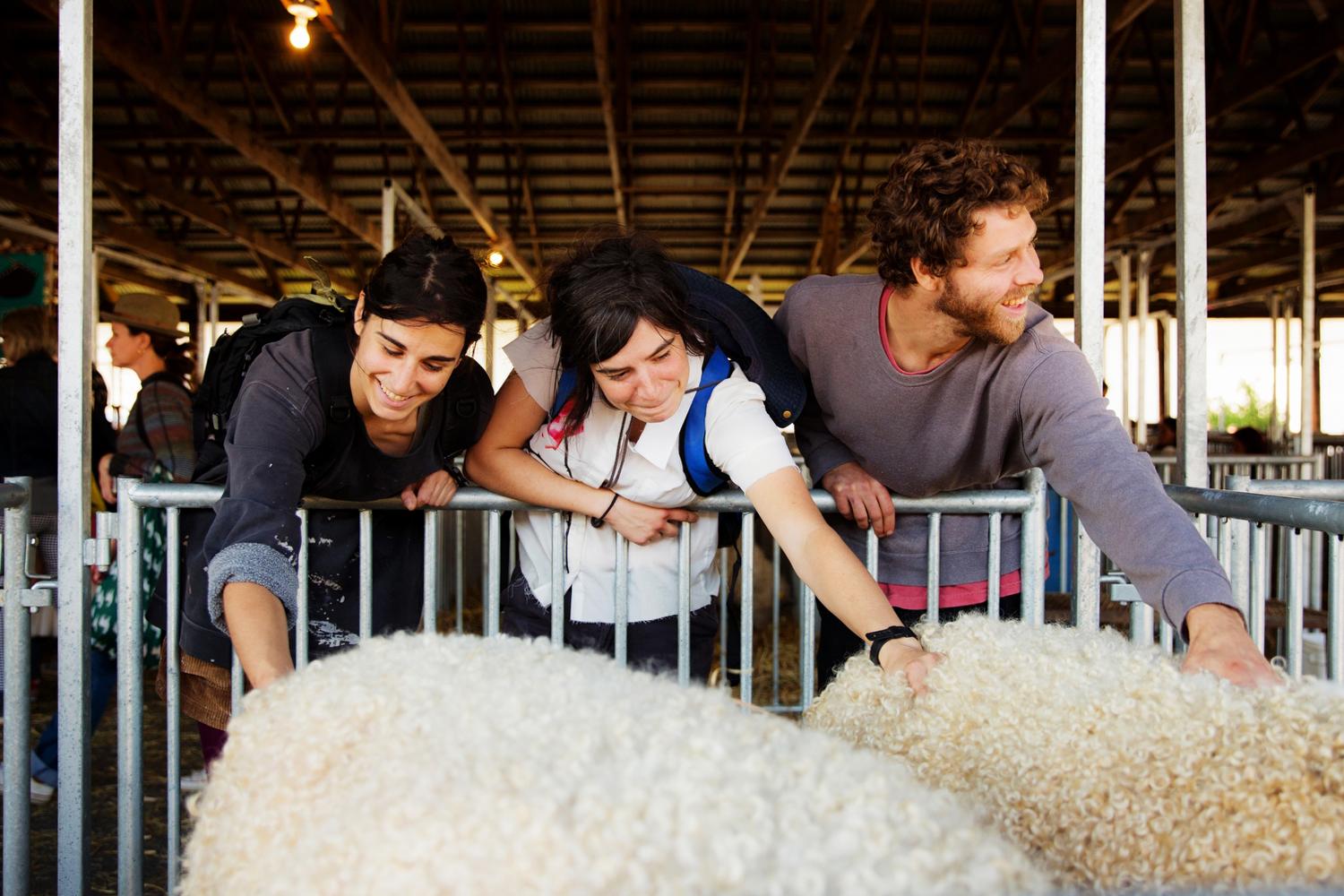 Sheep Wool Festival for NYT - 