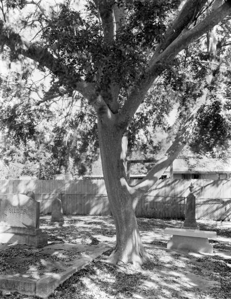 Jewish Cemetery Plaquemine, Louisiana