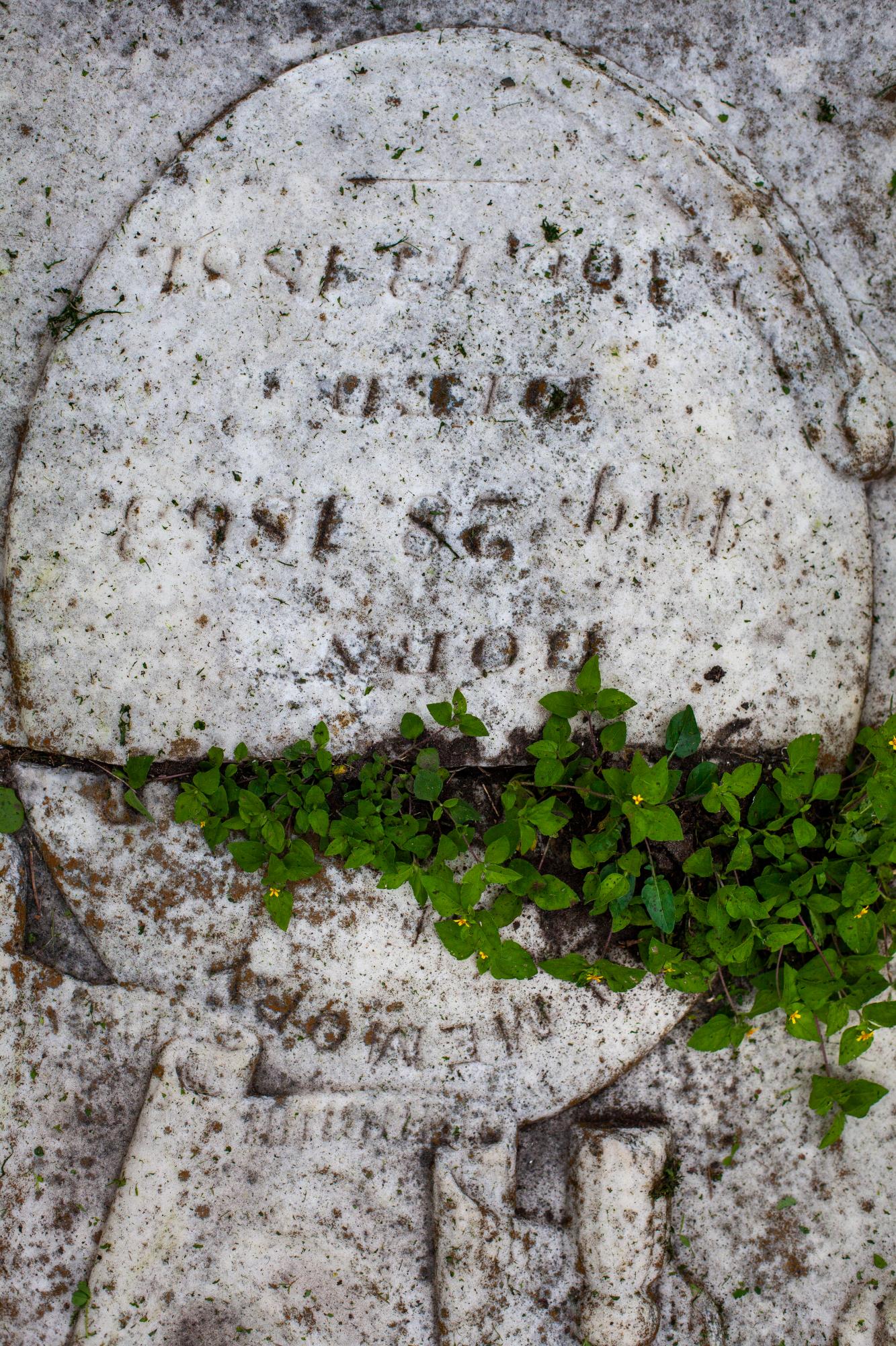 Texas - Tombstone in Hebrew Rest, Corpus Christi, Texas
