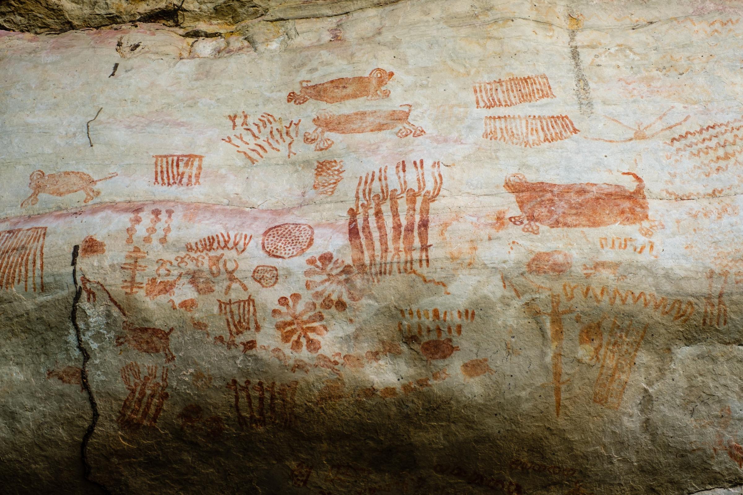 El Guaviare, Cave Paintings and Eco Tourism - Cerro Azul, Gravuras Rupestres. Mata amazonica. Guaviare,...