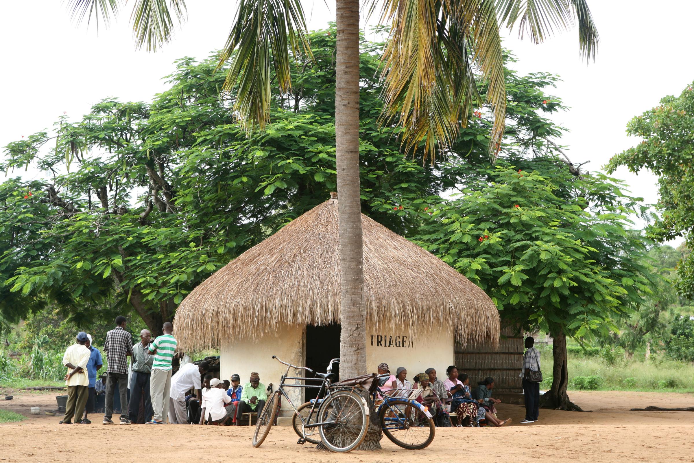 Malaria - Rural Hospital of Jangamo, Inhambane Province,...