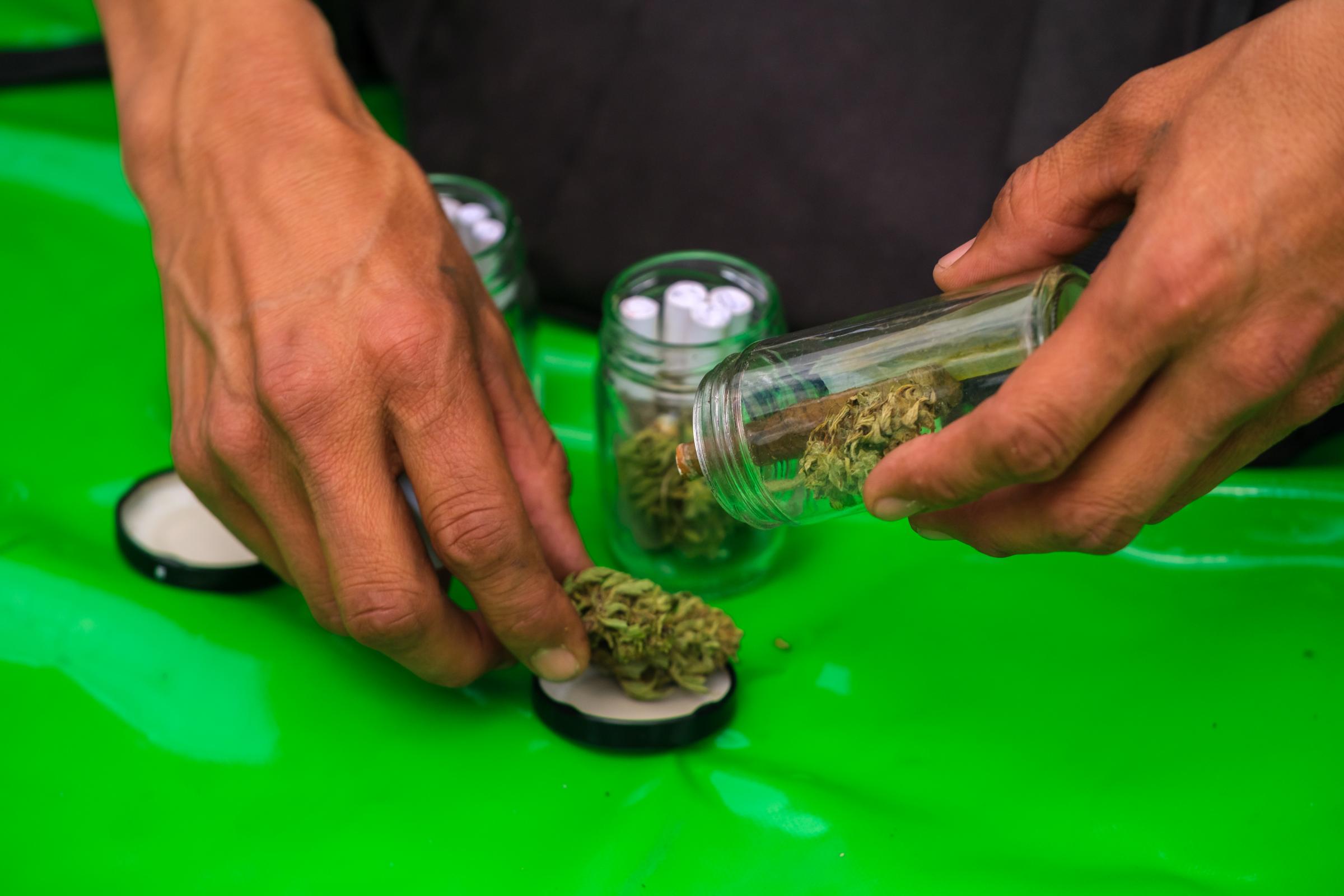 Marijuana Adult Use Voting Colombia - Marijuana Activists and Indigenous communities gather in...