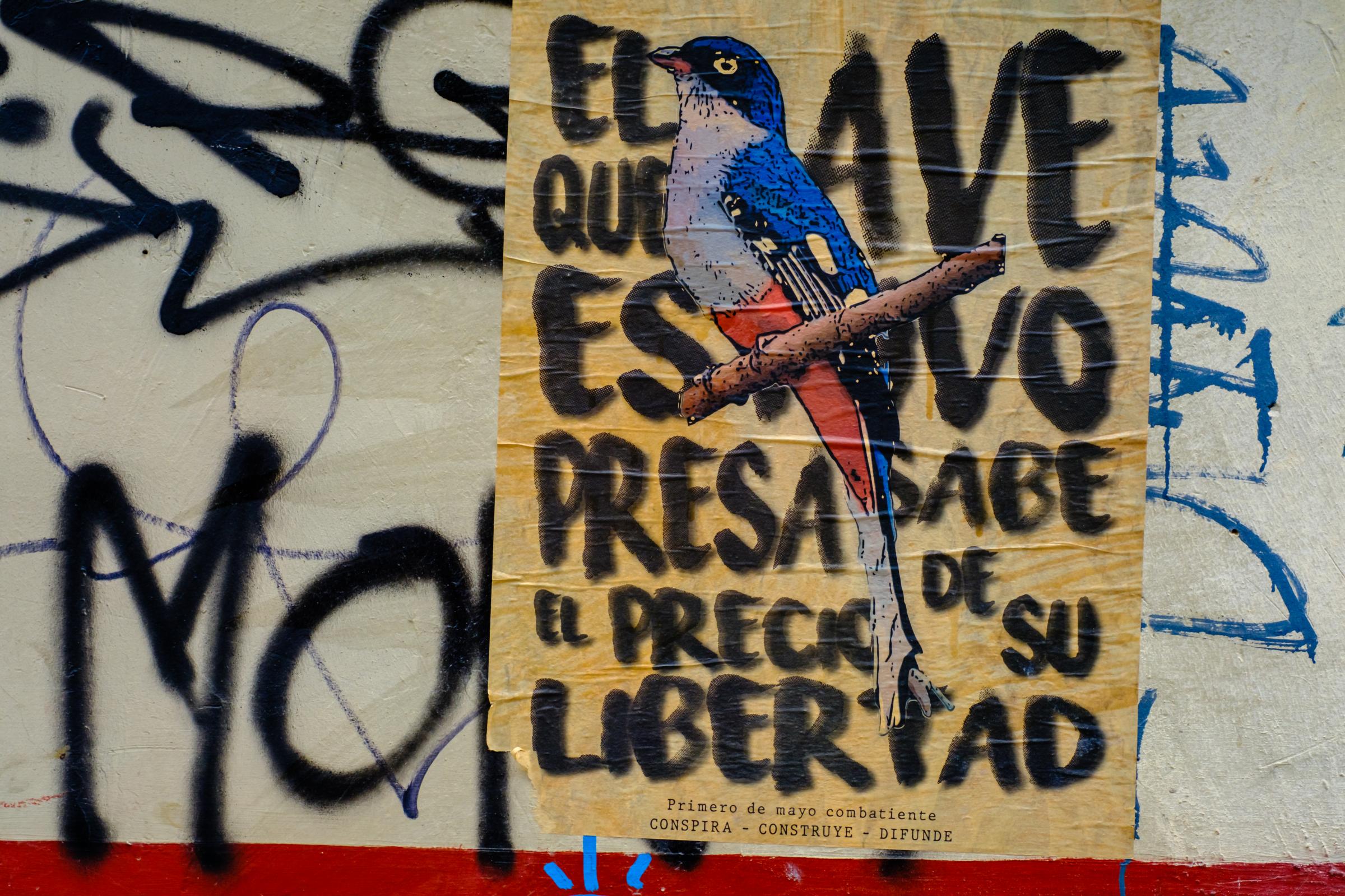 Message on a Wall Bogota - Bogota, Colombia.