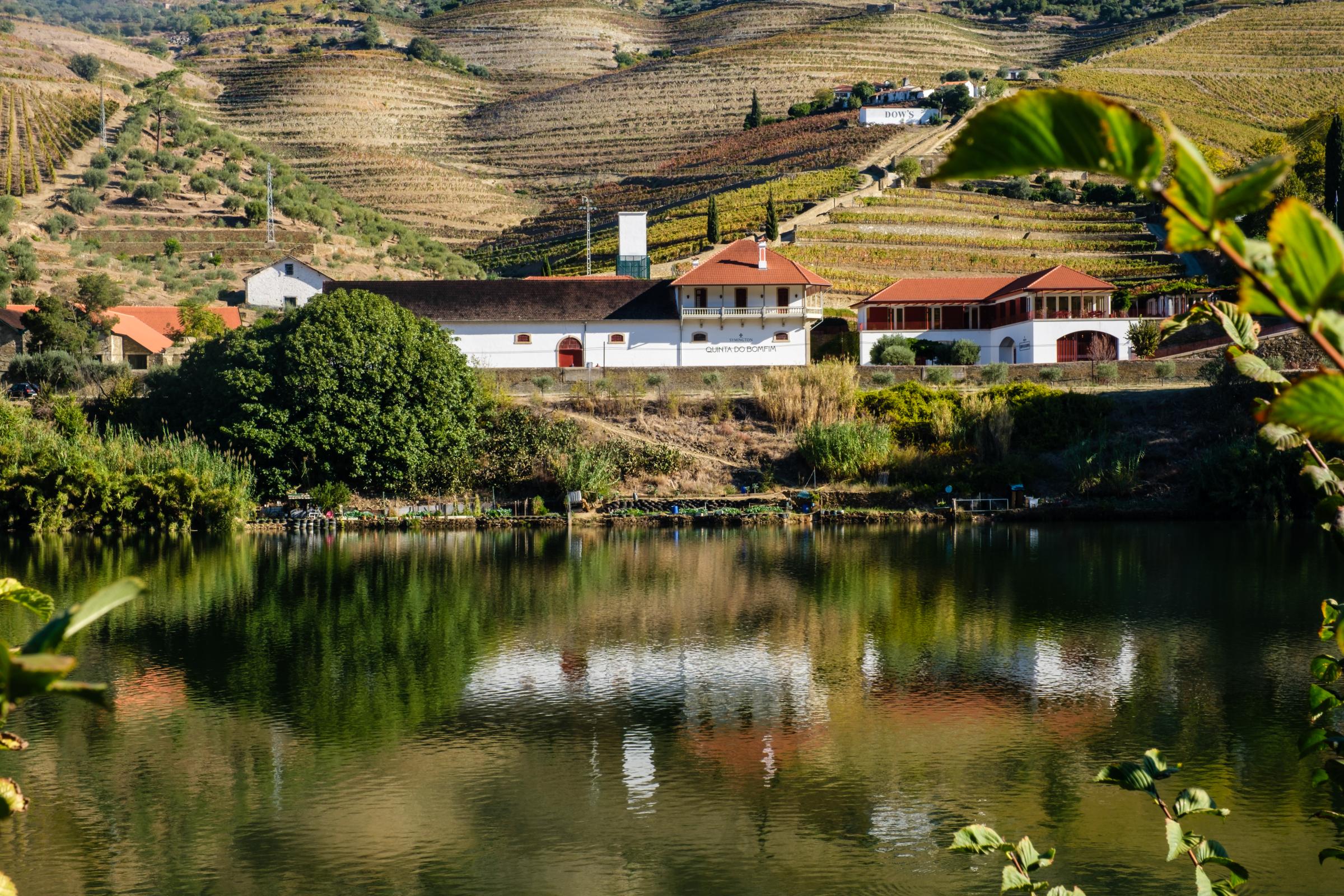 Wine - Alto Douro Vinhateiro