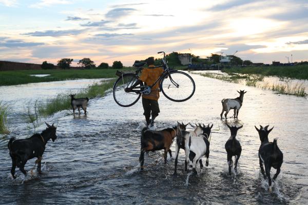 Mozambique Floods