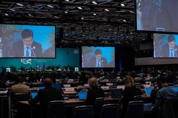 Image from SINGLES - A plenary session on the second last day at the COP15...