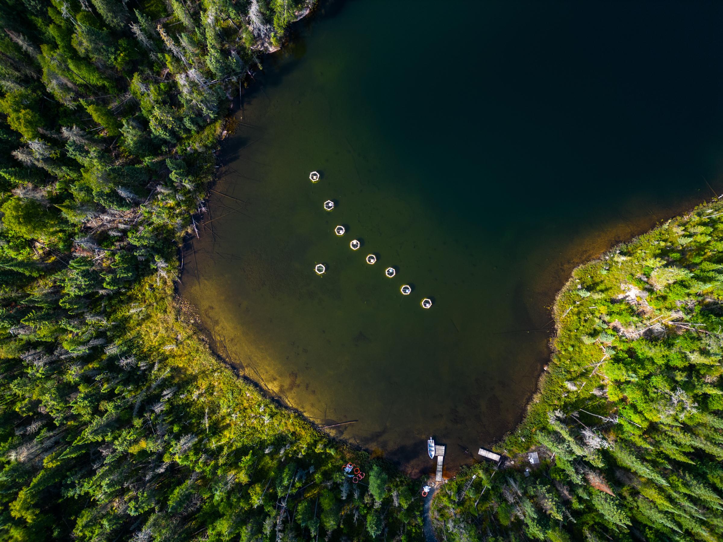 The ability to conduct controlled experiments by lake manipulation and observation has drawn interest from researchers worldwide. The abundance of...