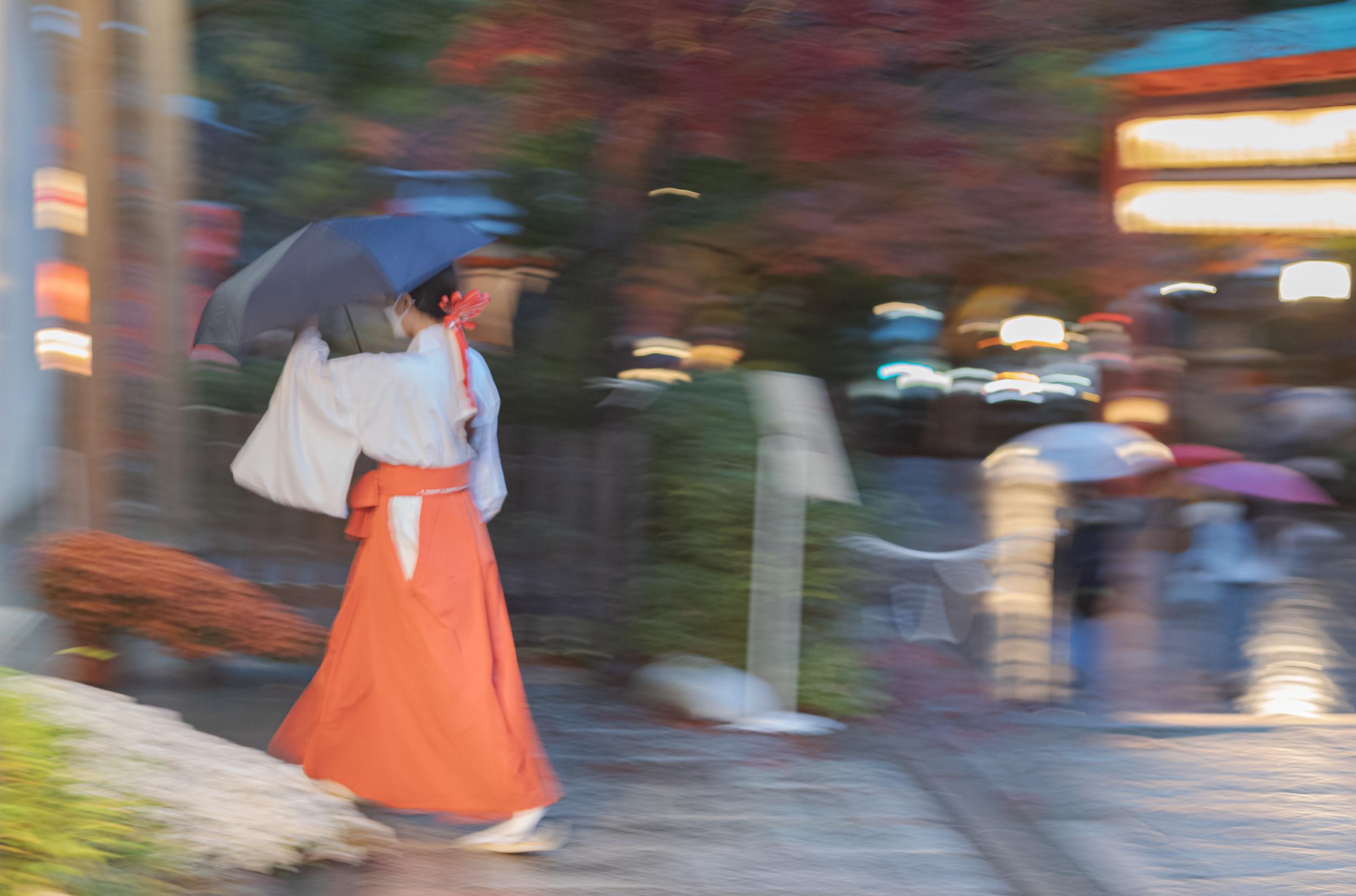 The Beauty of Ephemeral Moments, Kyoto 2022 - Targeted