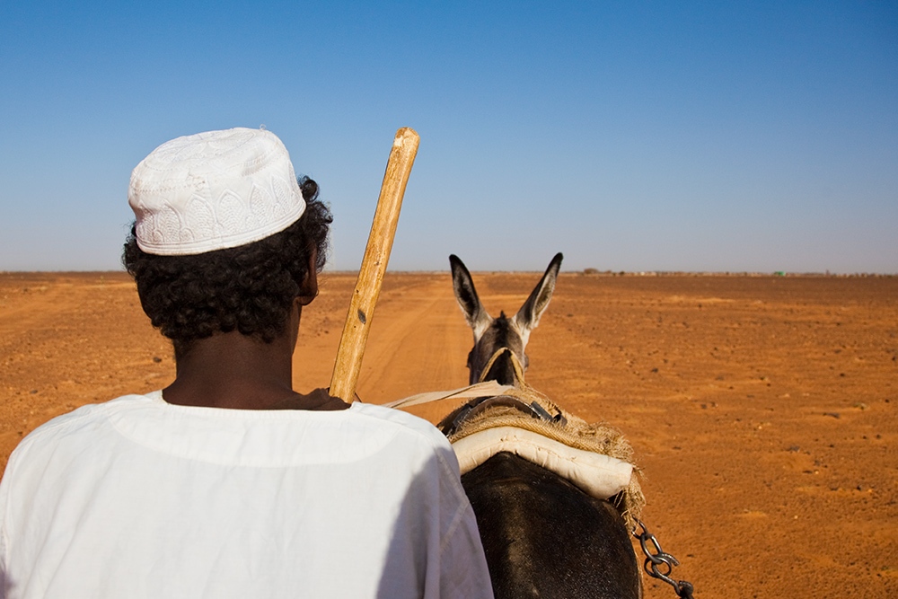 Art and Documentary Photography - Loading IMG_6205.jpg