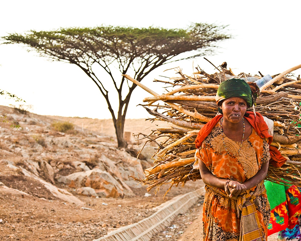Art and Documentary Photography - Loading _mg_8936.jpg