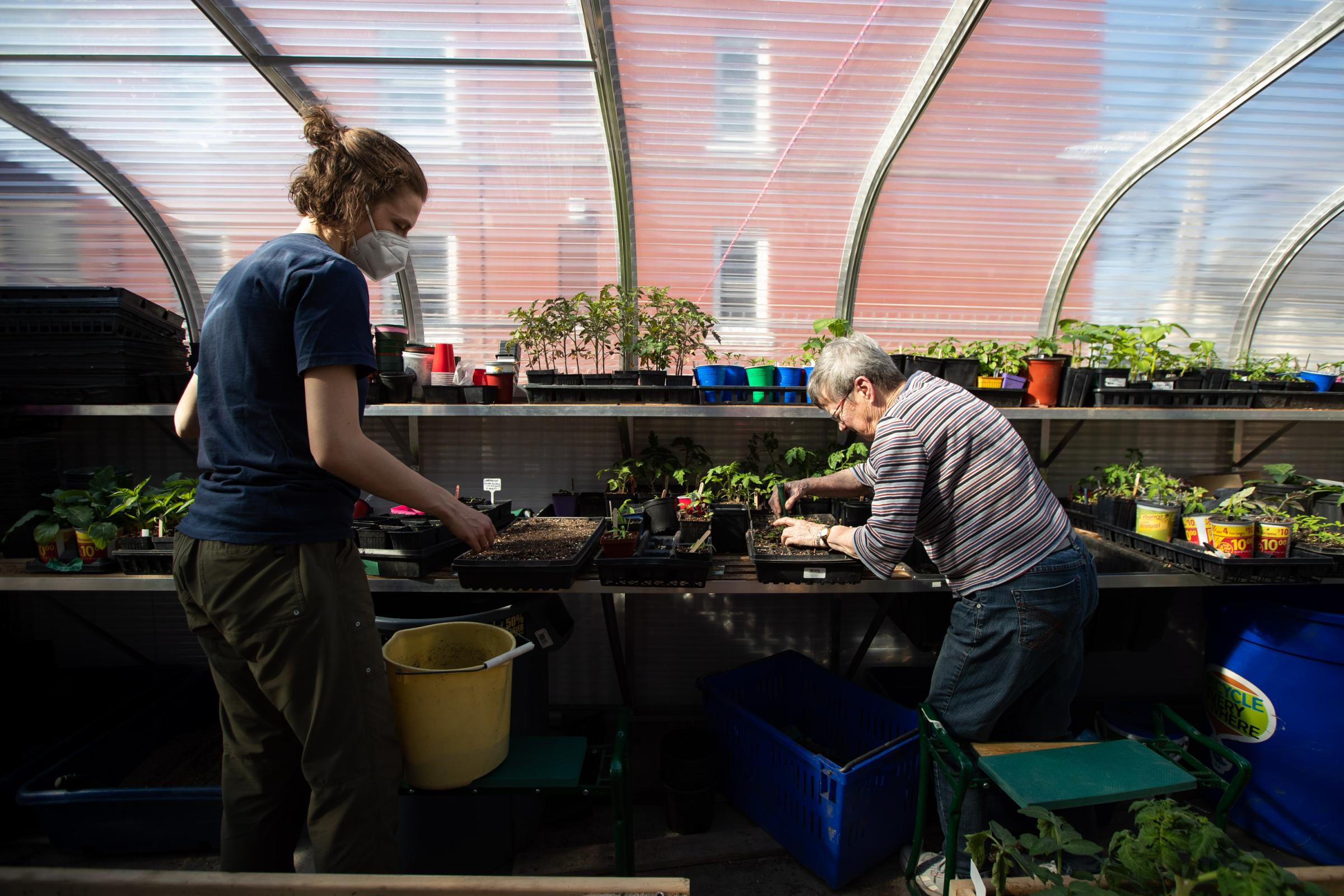 Amelia Pahl (left) and Huguette Fleurant (right) tend to seedlings at the Spence Neighbourhood Association community greenhouse in Winnipeg. May 5,...