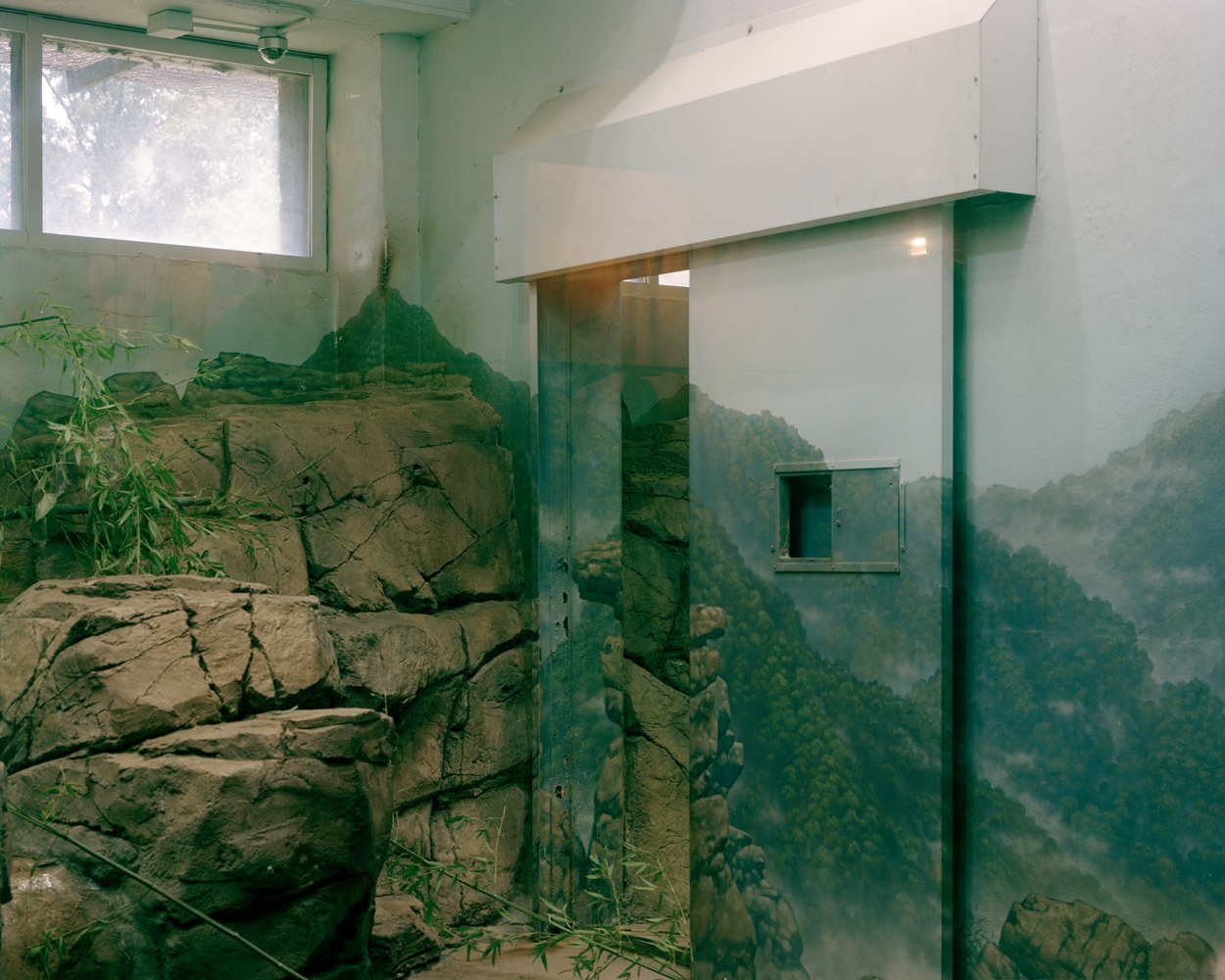 A Different Nature - Indoor Giant Panda Exhibit, 2012