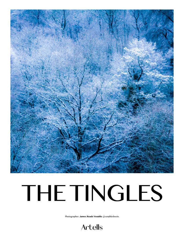 The Tingles