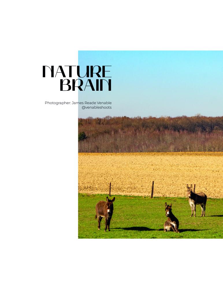 Thumbnail of FIGGI Magazine publishes Nature Brain