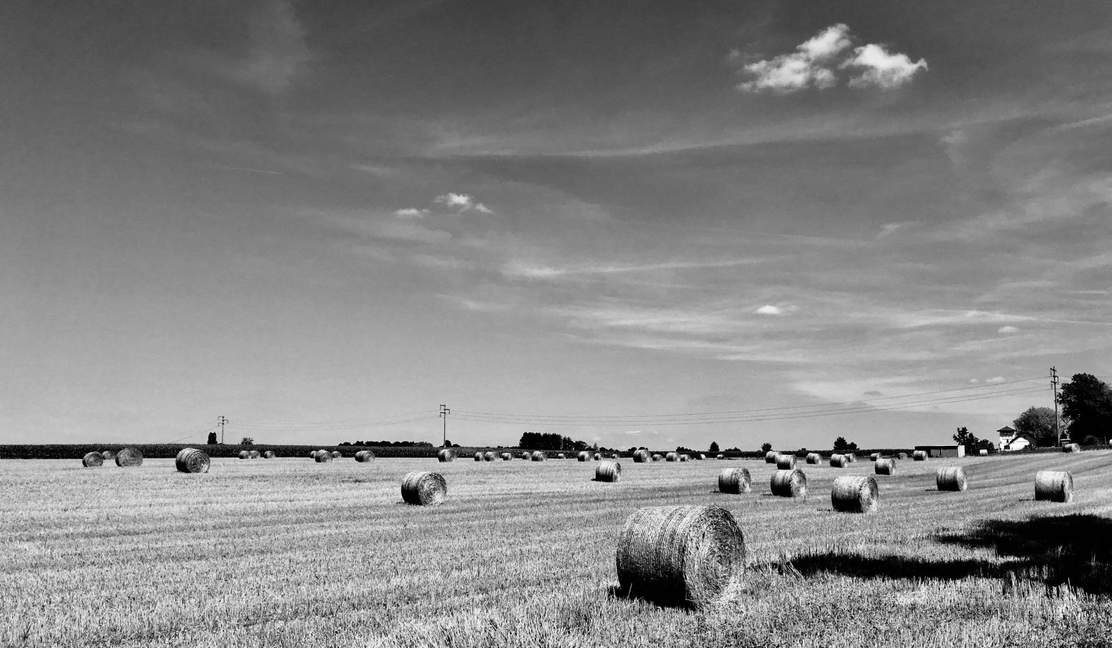 Haystacks | Buy this image