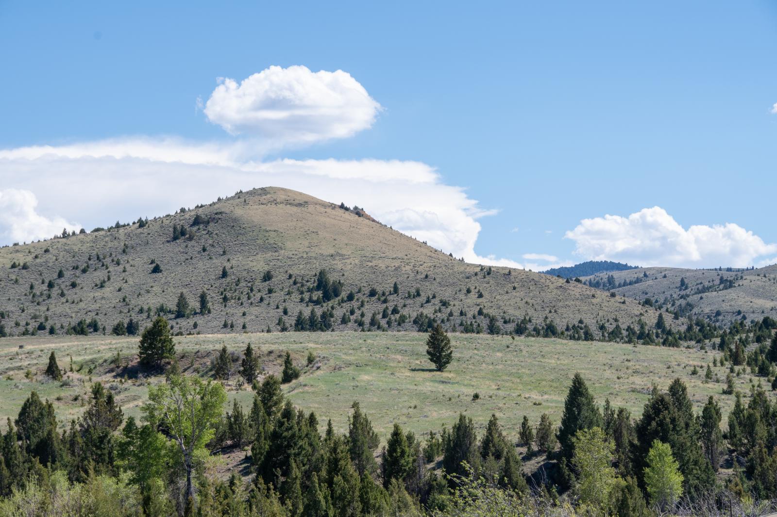 Landscape of Montana | Buy this image
