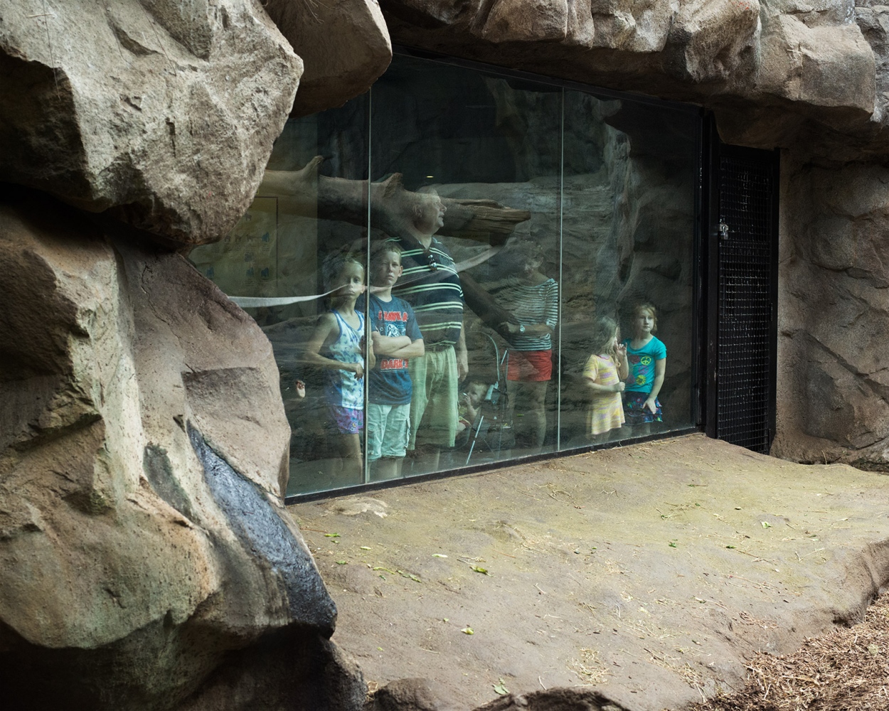 A Different Nature - Family Behind Glass (Tropical Forest), 2012
