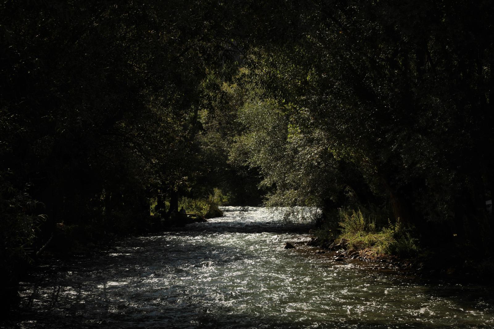 Alévis du Dersim.