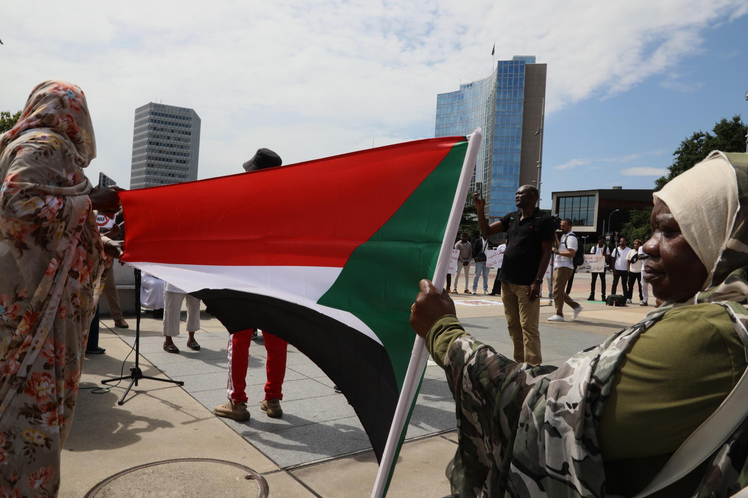 Art and Documentary Photography - Loading 007991LeaThomas-ManifestationSoudanONU1.JPG