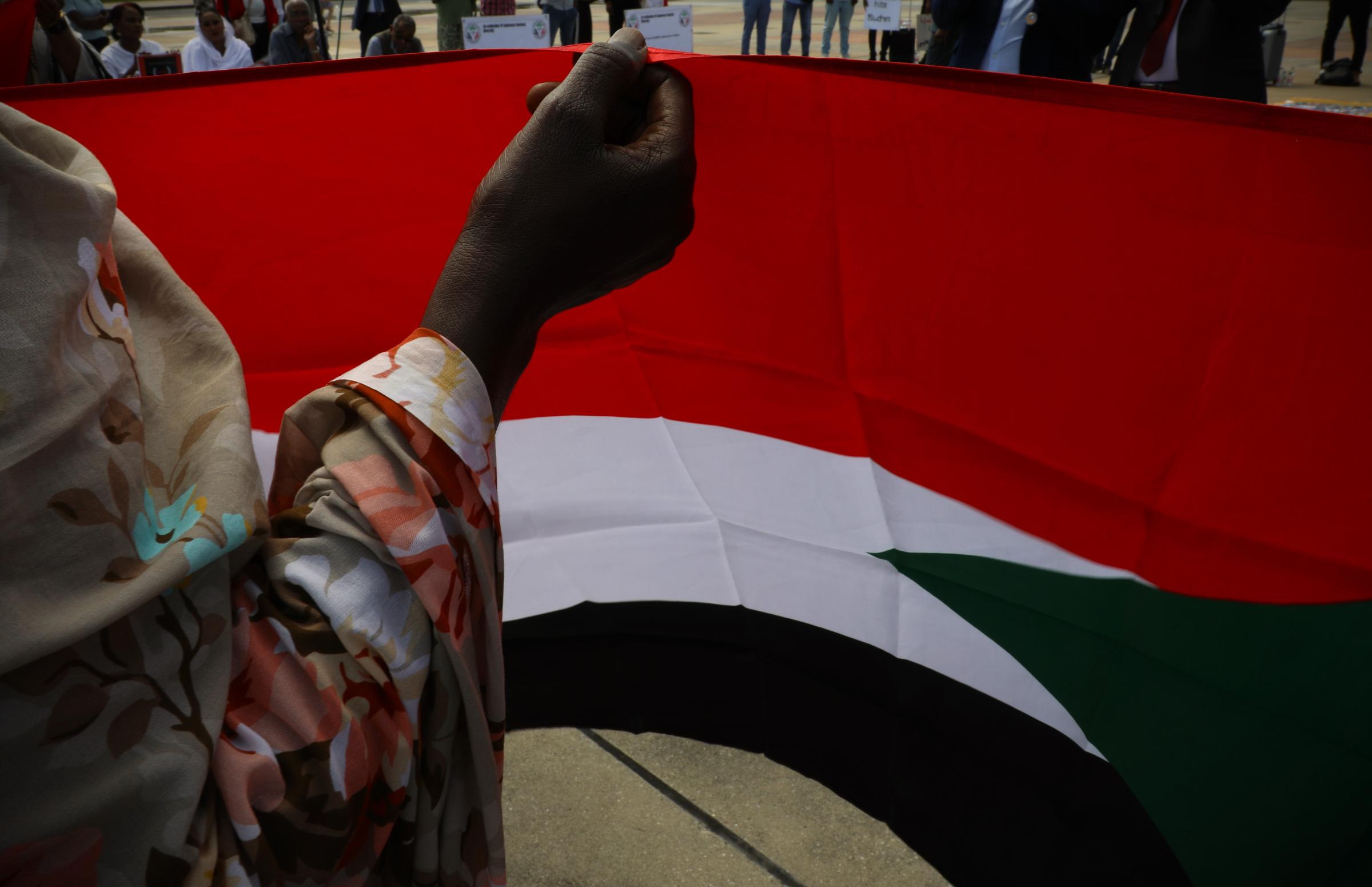 Art and Documentary Photography - Loading 007991LeaThomas-ManifestationSoudanONU4.JPG