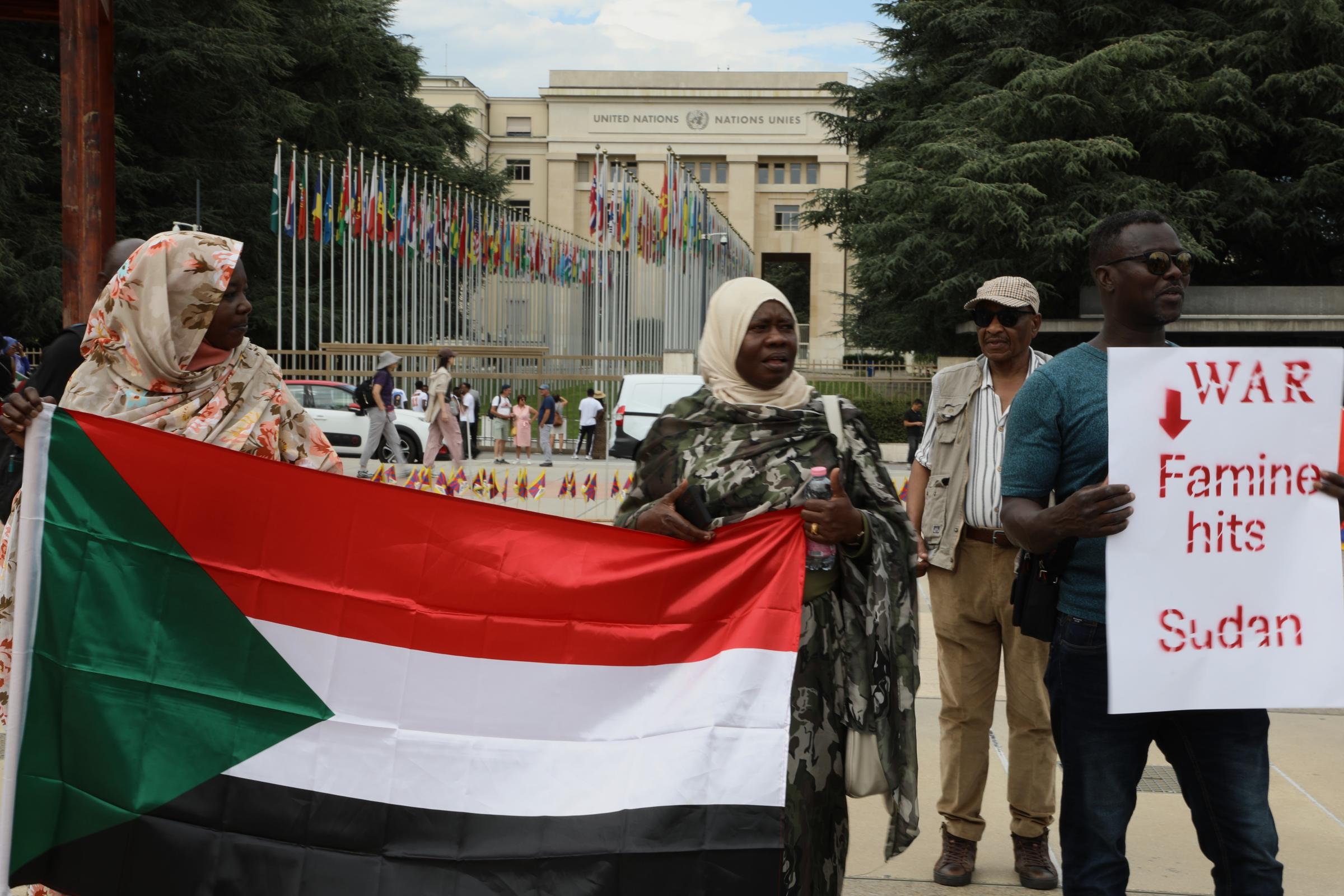 Art and Documentary Photography - Loading 007991LeaThomas-ManifestationSoudanONU9.JPG