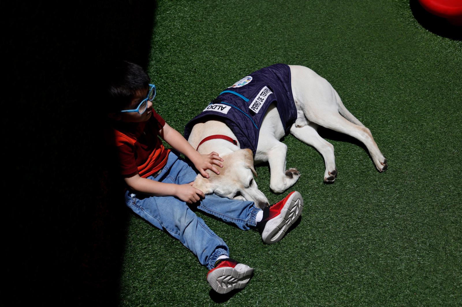 Patient Samuel Ayala pets Aldo,...EUTERS/Karen Toro QUITO ECUADOR