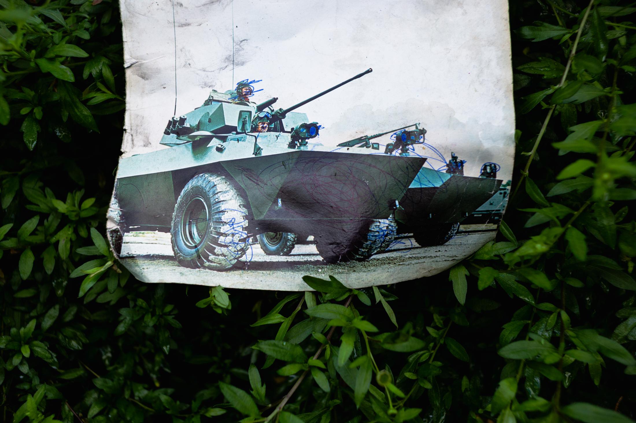 Backyard War | Buy this image