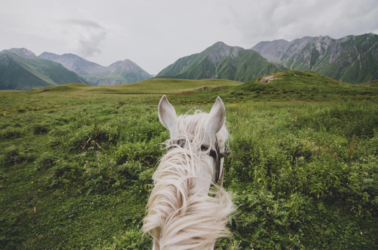On a horseback, Caucasus Mountains