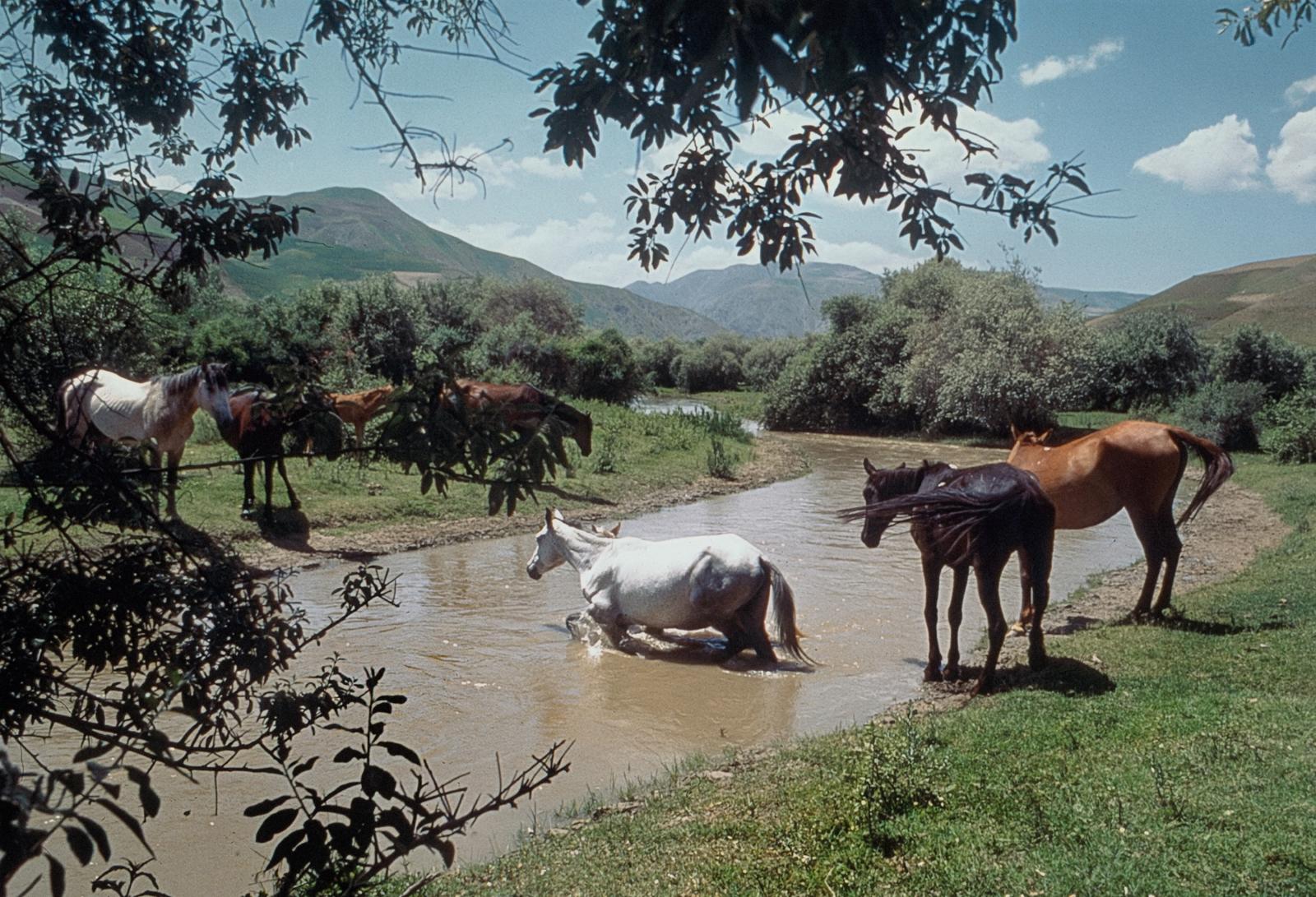 Outside Kabul, Afghanistan 2003
