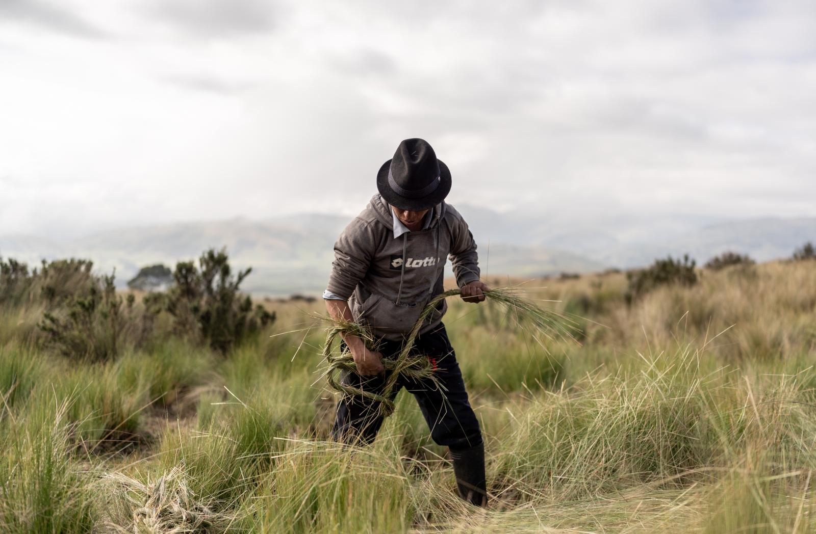 Juan collects the grasses and t...Yader Guzman/The Globe and Mail