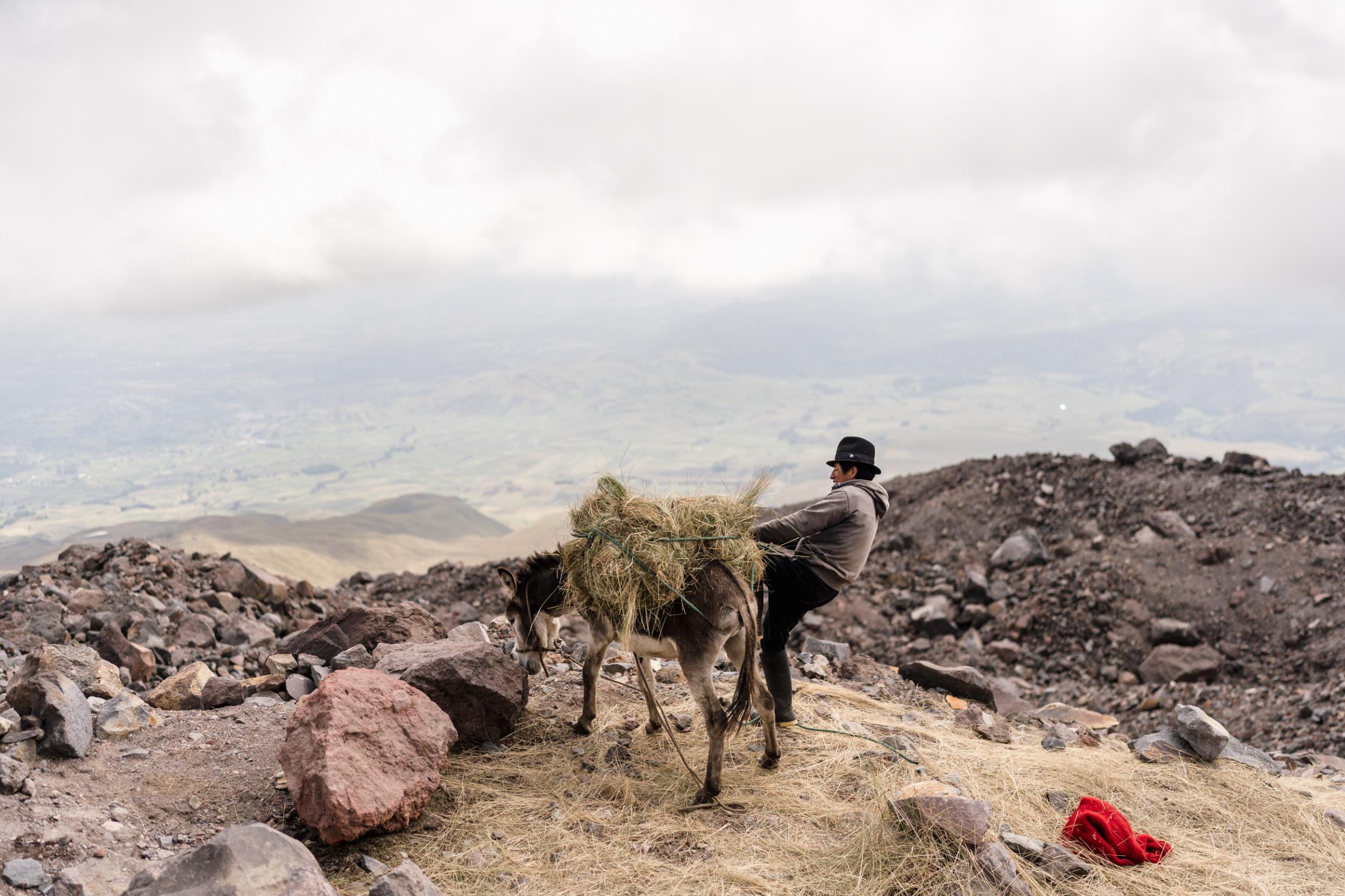 The Last Ice Merchant - Using the tall Paramo grasses he harvested earlier in the...