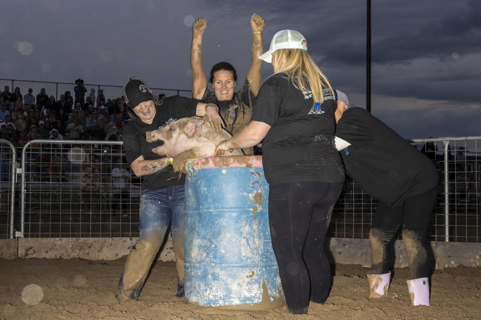 Pig Wrestling at Idaho County Fair by natalie behring
