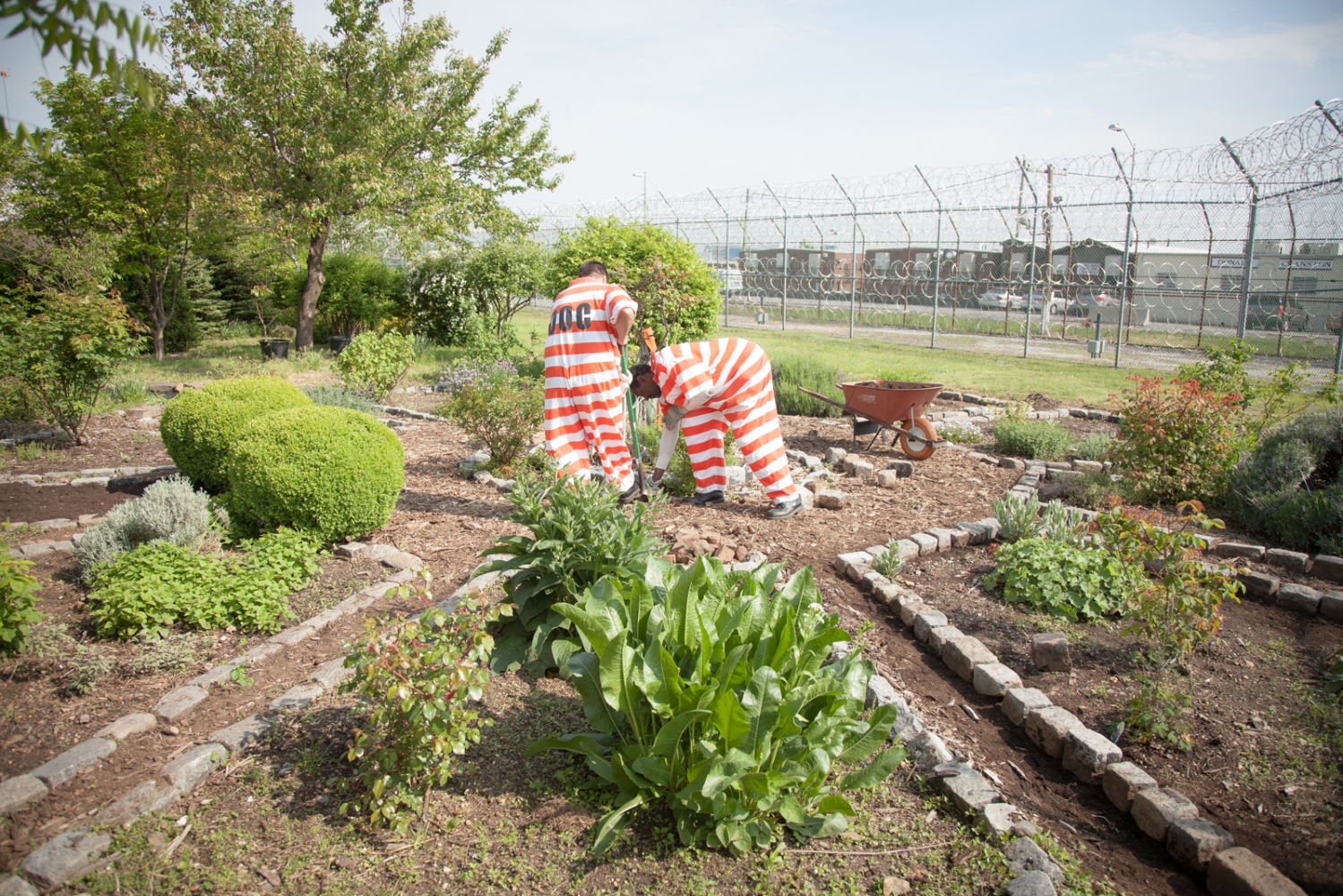 The Hort At Rikers - 