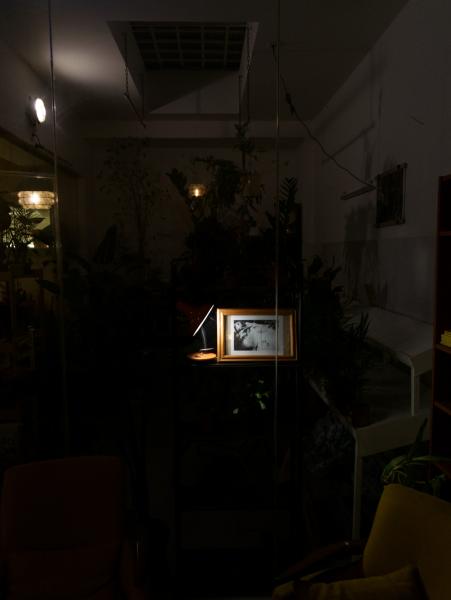 Image from Installation views