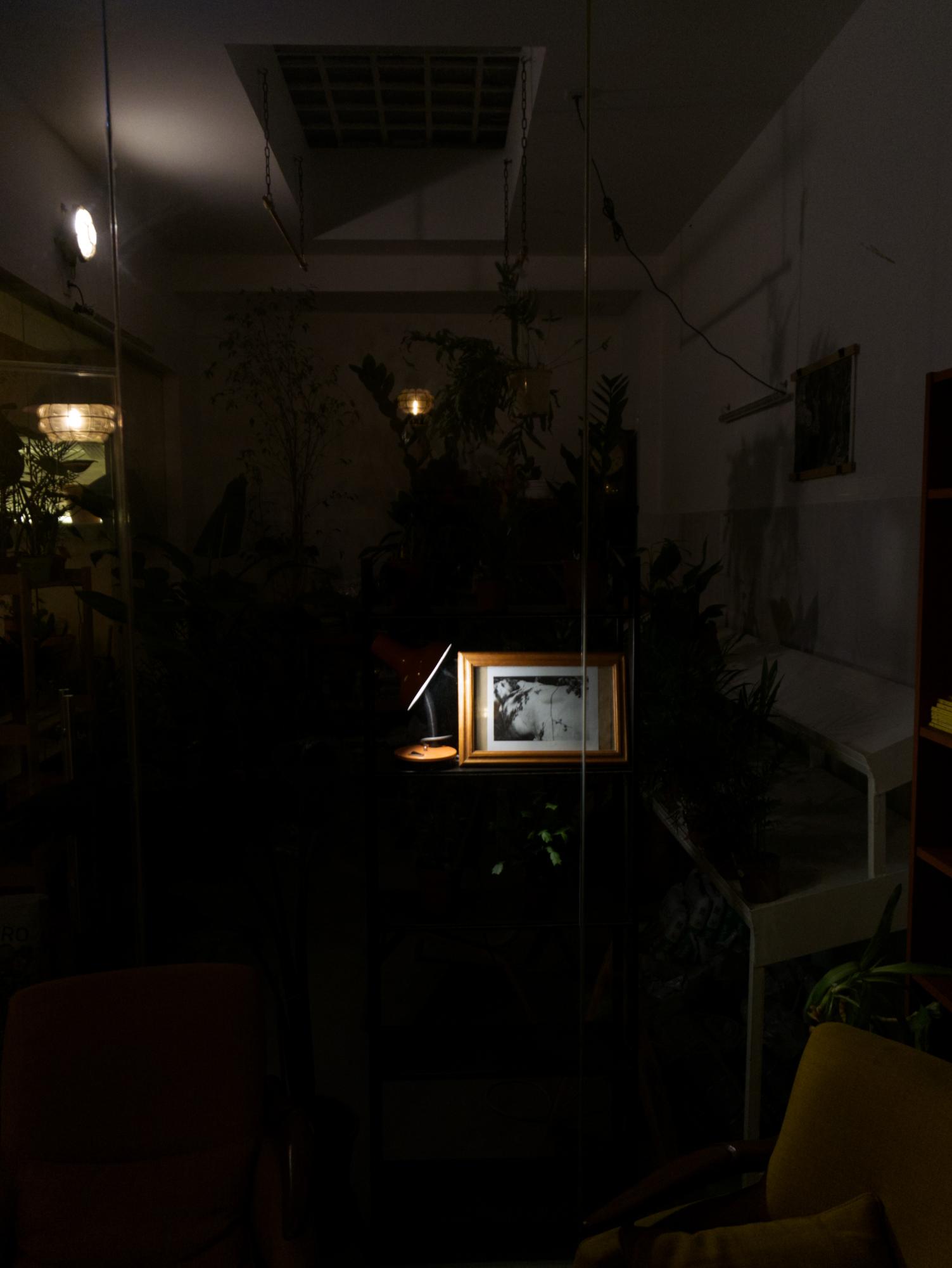 Installation views