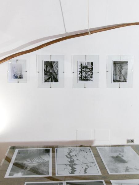 Image from Installation views