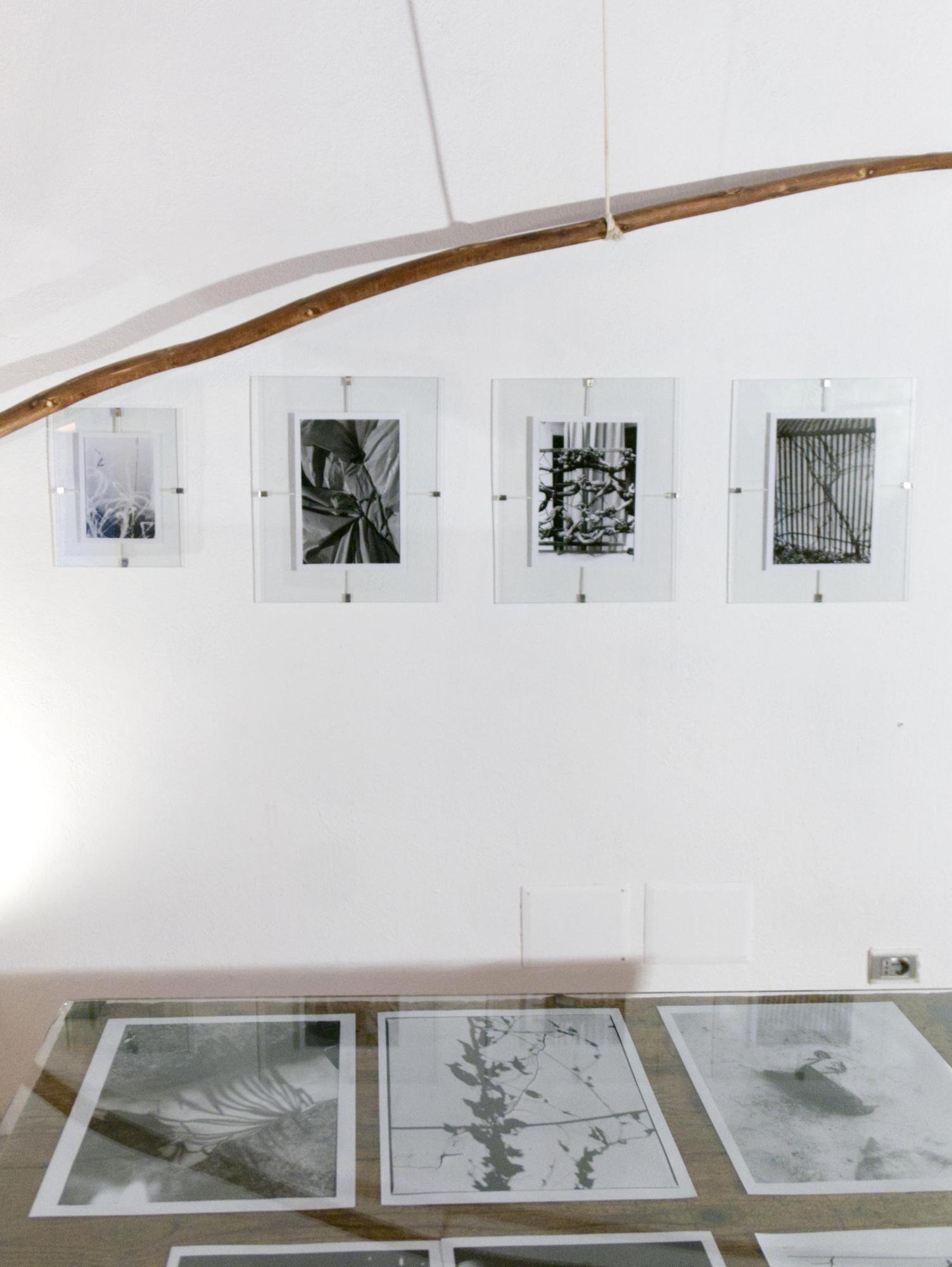 Installation views