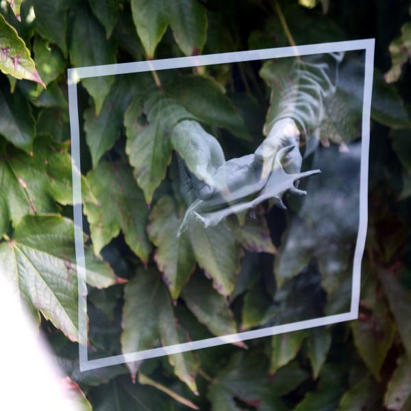 Image from Installation views