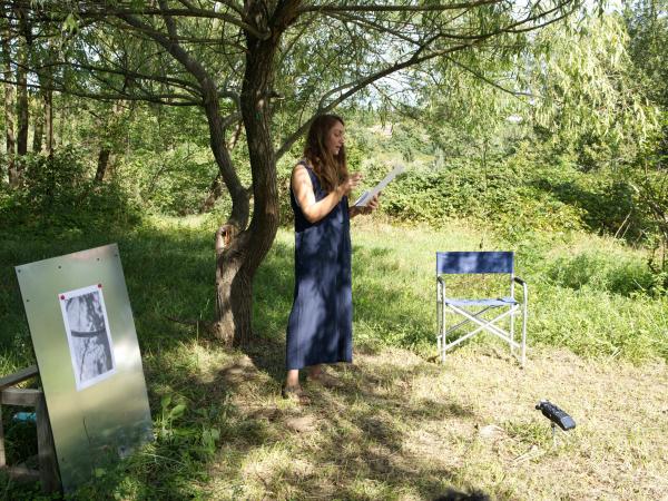 Image from Installation views