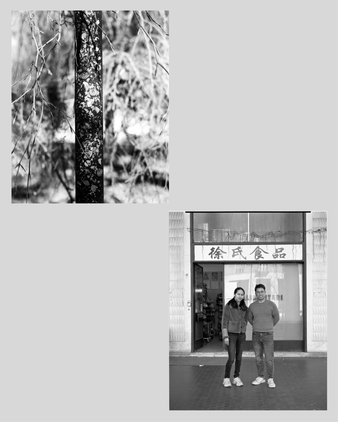 Artist-in-residence - Cuneo - 
