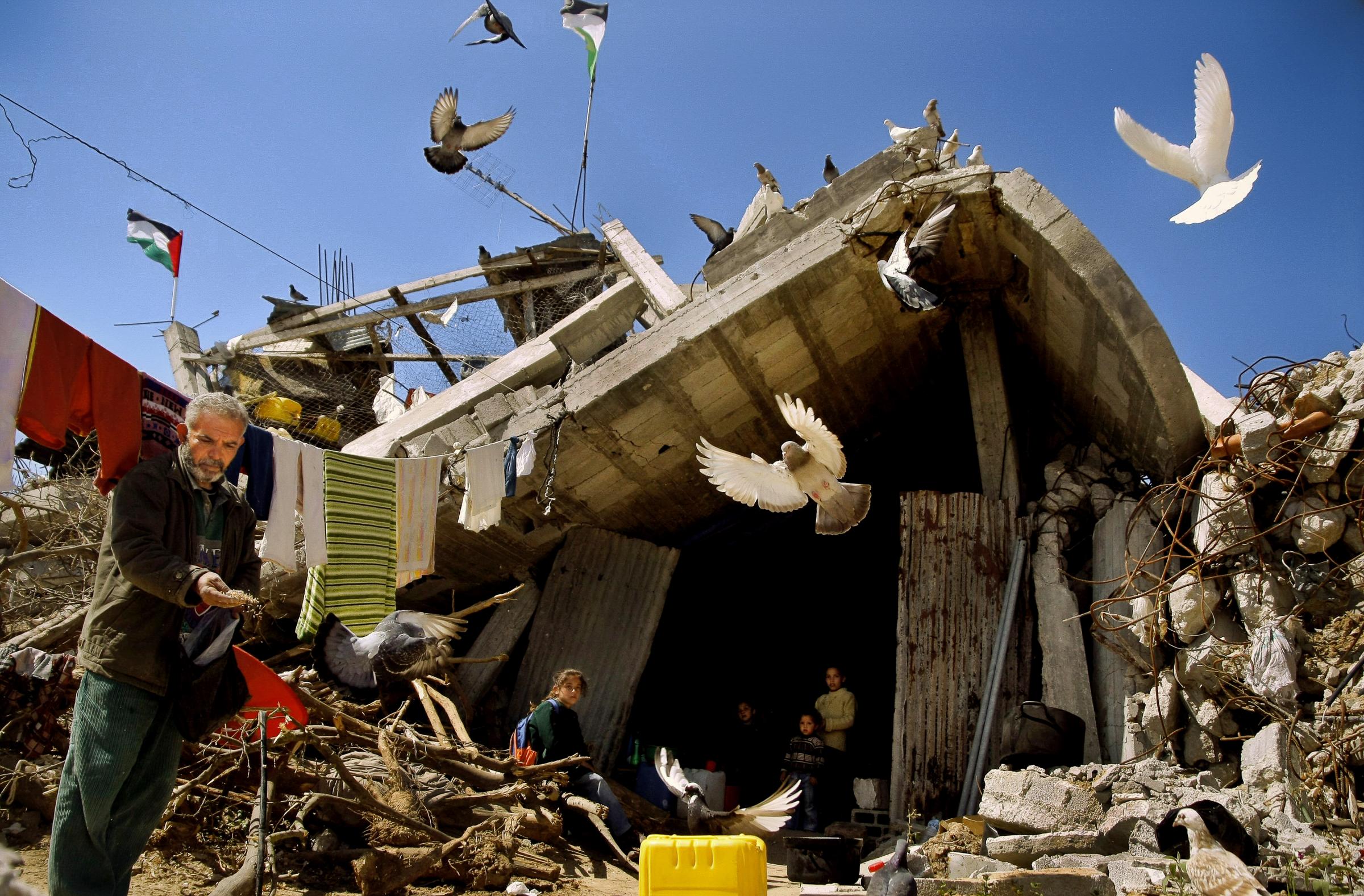 SINGLES - Gaza City, palestine. Mohammed Khader feeding pigeons in...