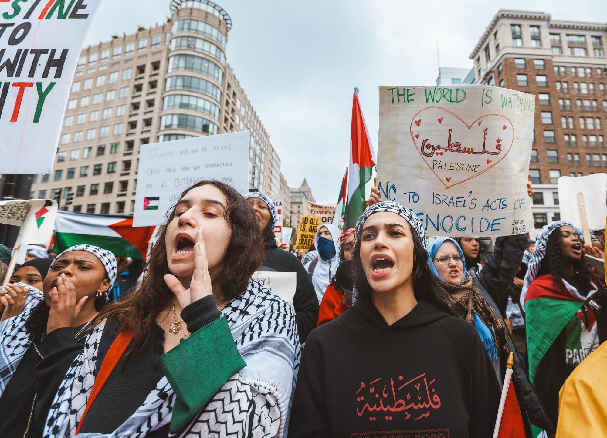 Pro-Palestine protests in Washington D.C. 2023 - Pro-Palestinian protesters rallied downtown in...