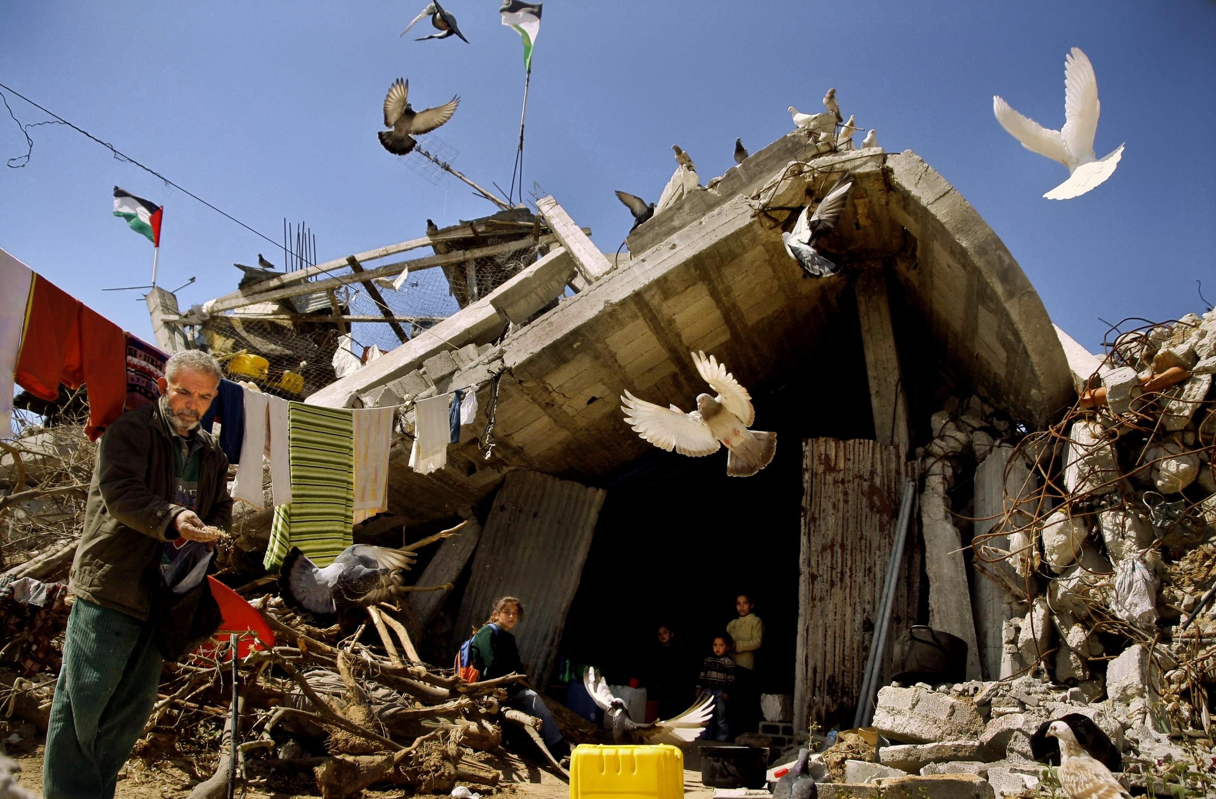 What Lies Beneath The Rubble  - GAZA STRIP, PALESTINE. Mohammed Khader feeds pigeons in...