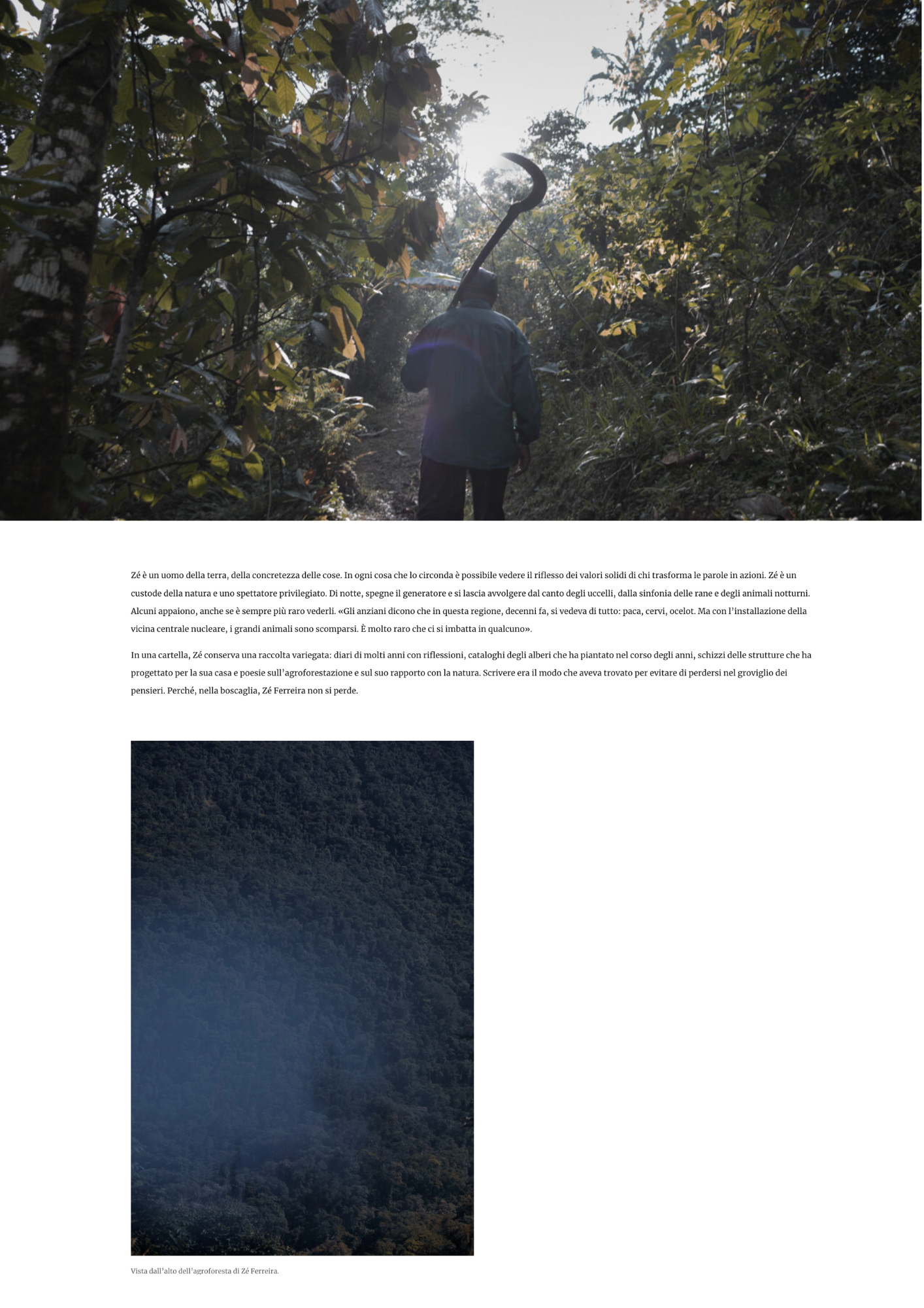 Image from + publications -   