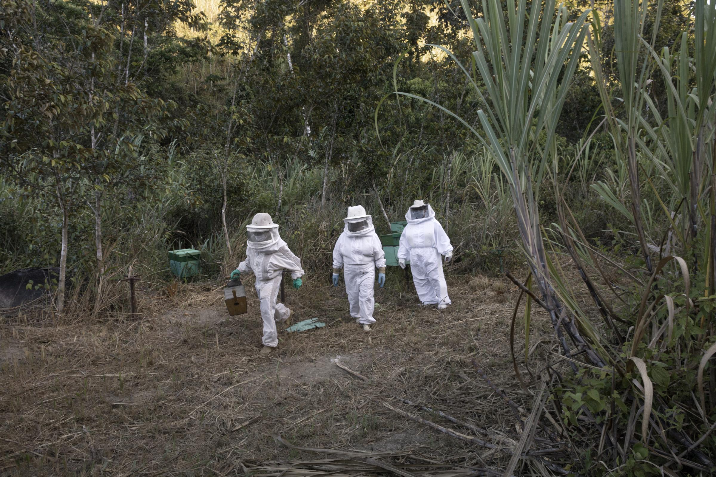 Beekeepers - Beekeepers Maria Iraneide dos Santos, Sônia Maria...