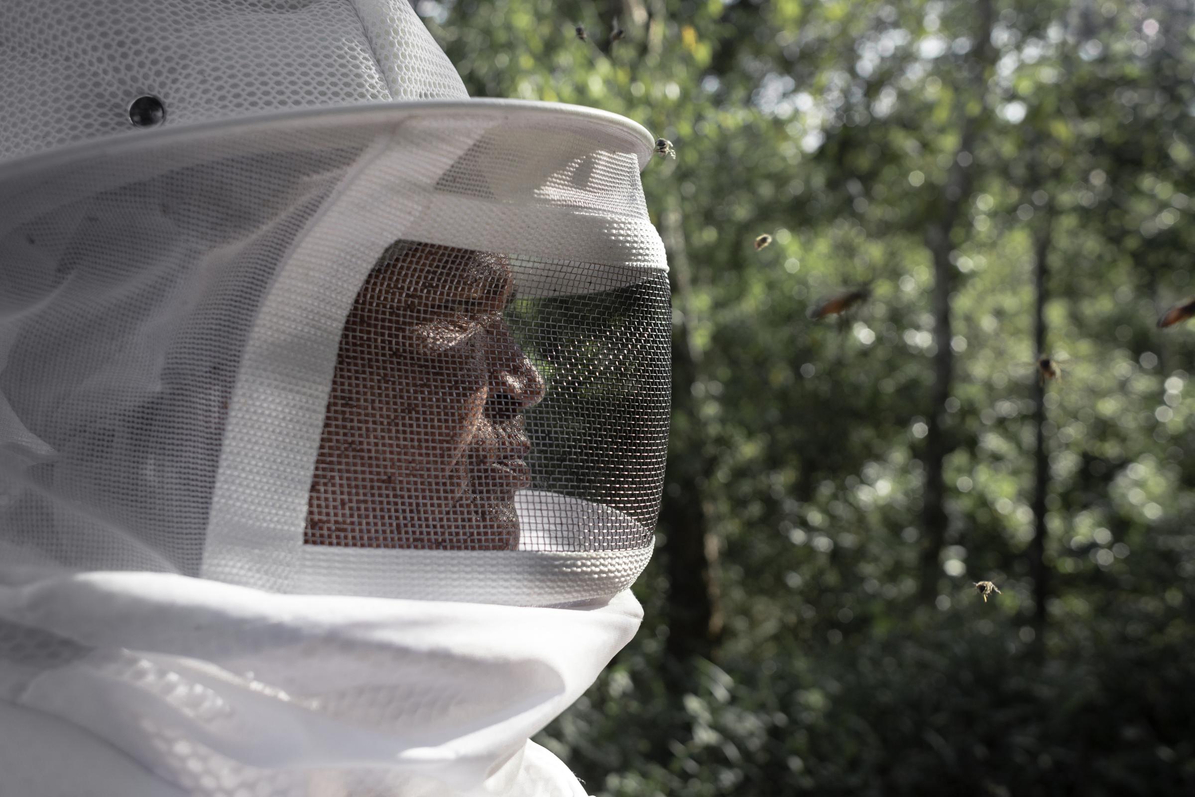 Beekeepers - Sônia Maria da Silva, a beekeeper from Assentamento...