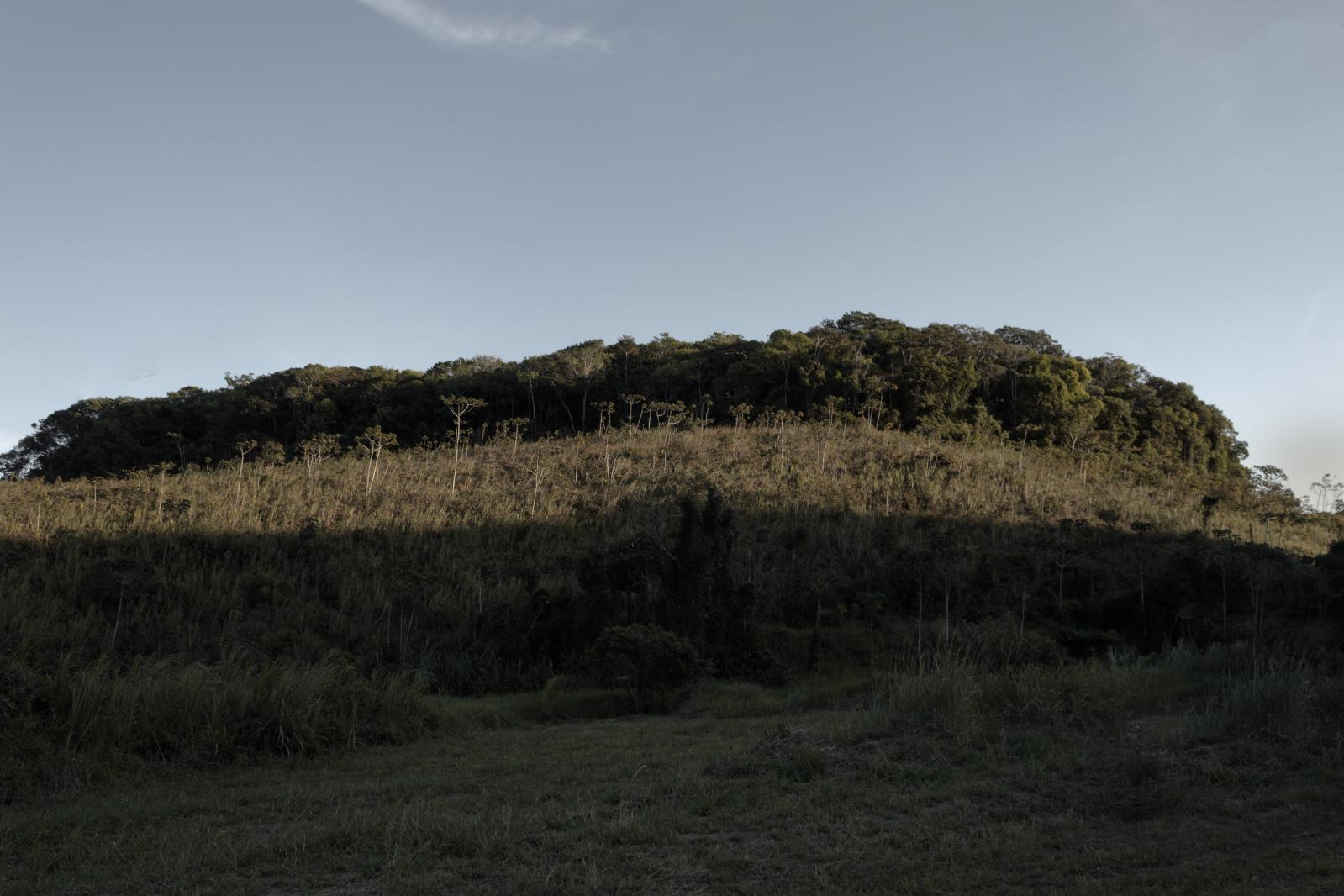 guardiãs de abelhas - 