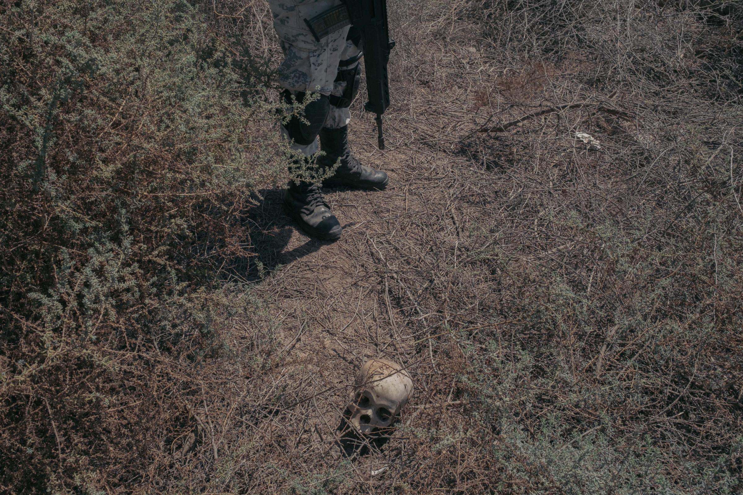 Lost Treasures - An element of the National Guard stands next to the skull...