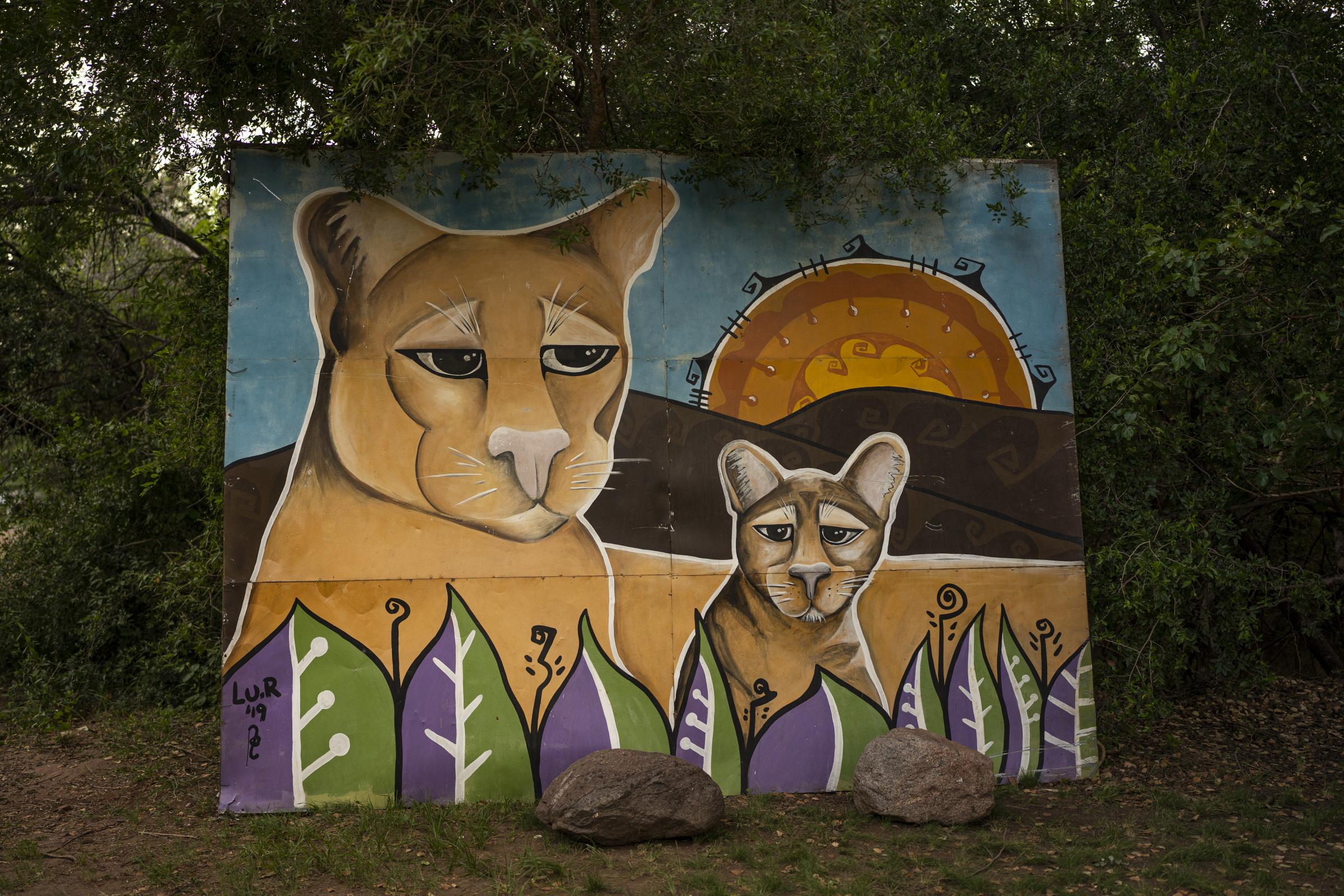 Kai Pacha, cougar woman - Una pintura de una madre puma con su cría en el mural de...